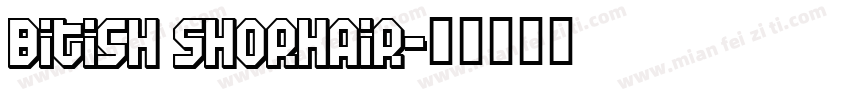 Bitish Shorhair字体转换